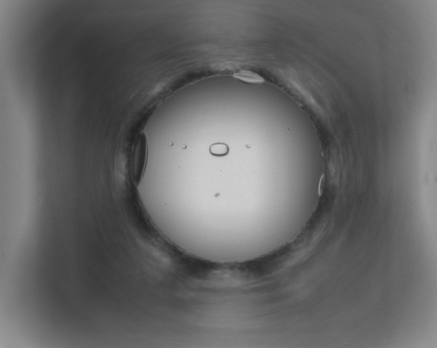 X0000111850211200907231106