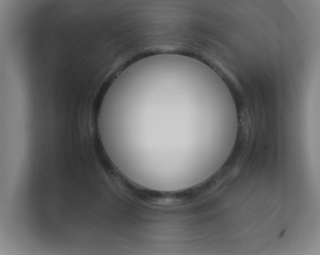 X0000111850212200907231106