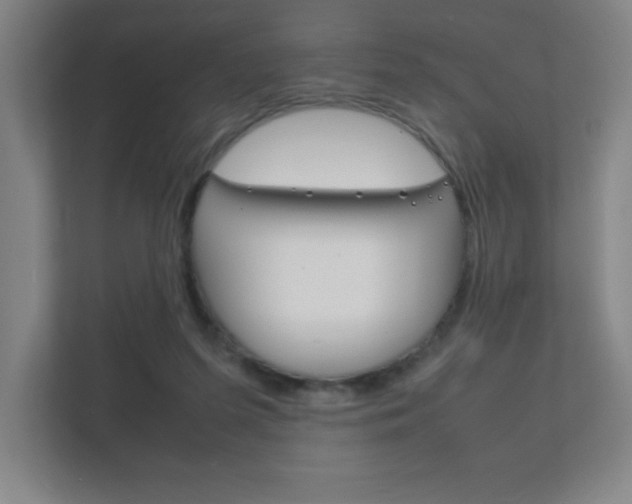X0000111850215200907231106