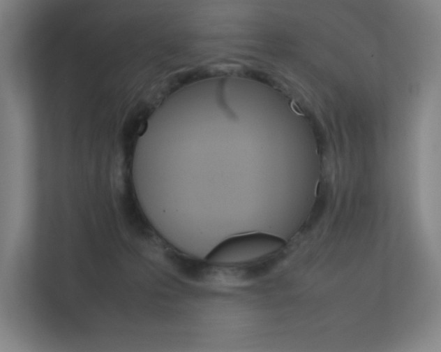 X0000111850223200907231106