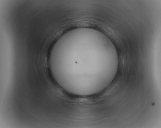 X0000111850224200907231106