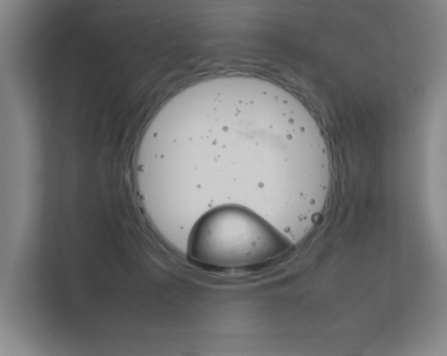 X0000111850225200907231106