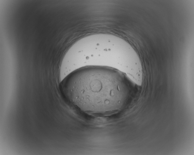X0000111850227200907231106