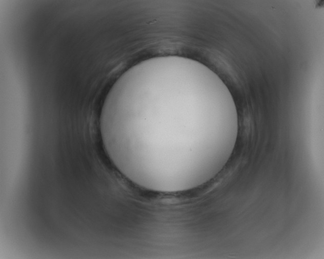 X0000111850228200907231106