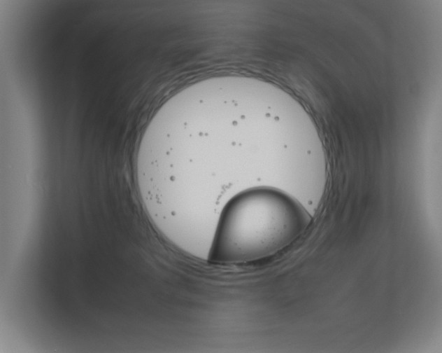 X0000111850229200907231106