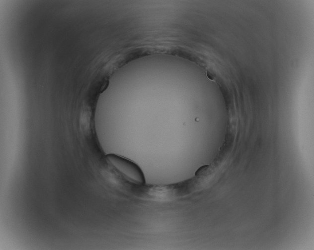 X0000111850231200907231106