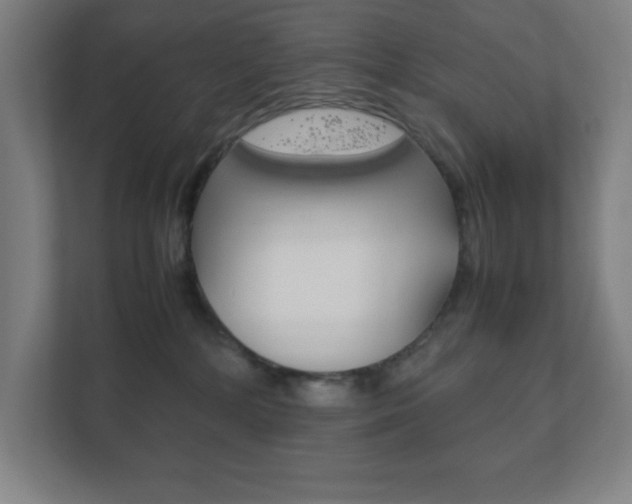 X0000111850232200907231106