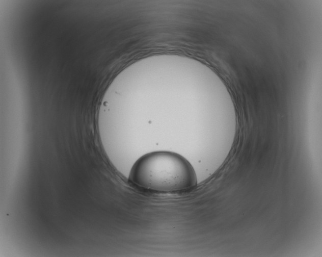 X0000111850233200907231106
