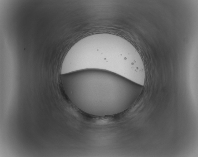 X0000111850235200907231106
