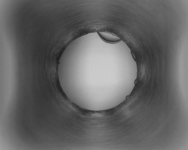 X0000111850236200907231106