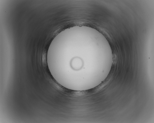 X0000111850238200907231106
