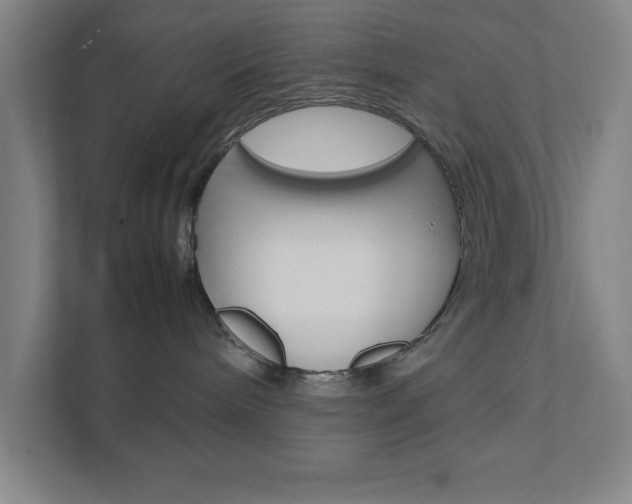 X0000111850240200907231106