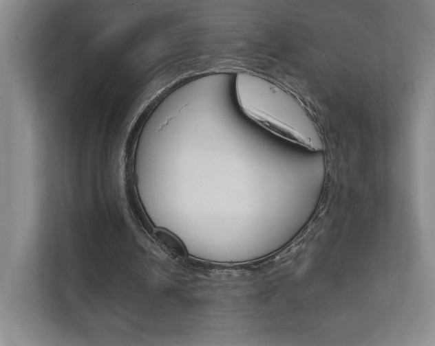 X0000111850242200907231105