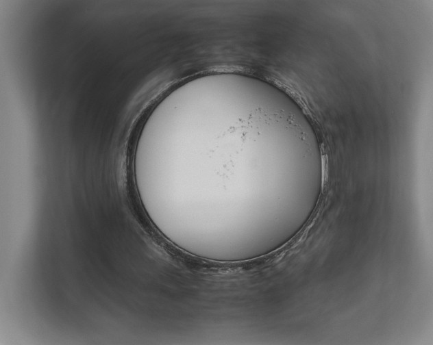 X0000111850243200907231105