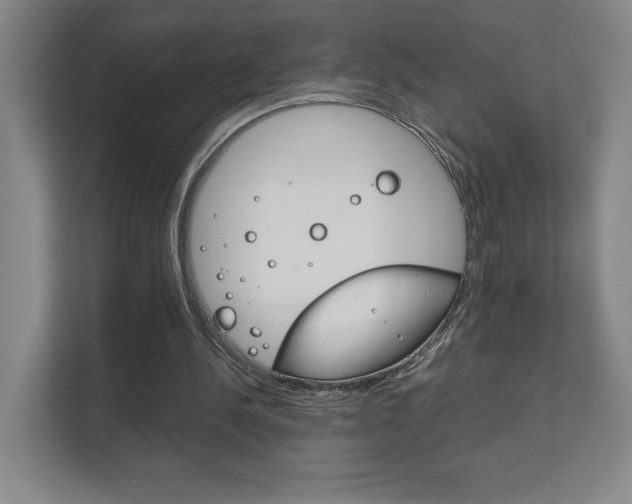 X0000111850244200907231105