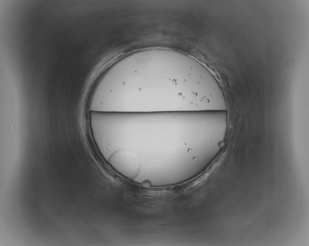 X0000111850245200907231105