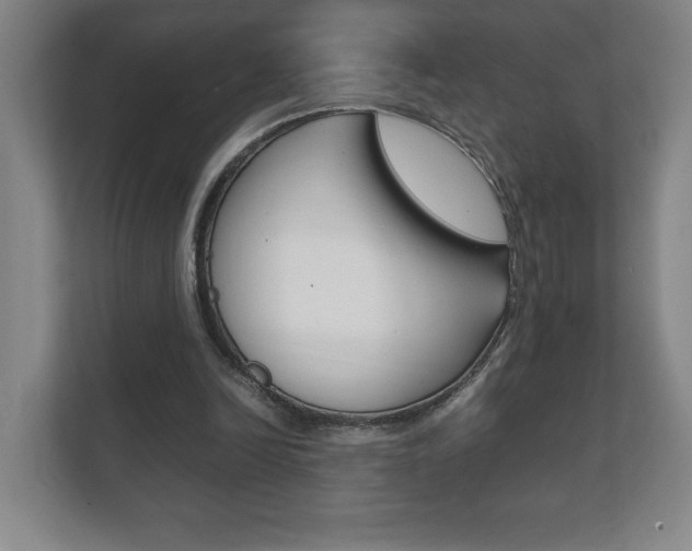 X0000111850246200907231105
