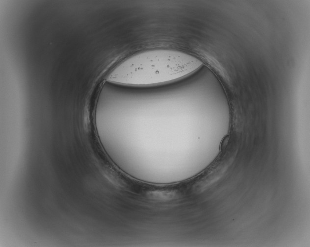 X0000111850251200907231105