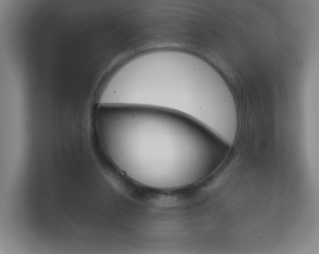 X0000111850256200907231105