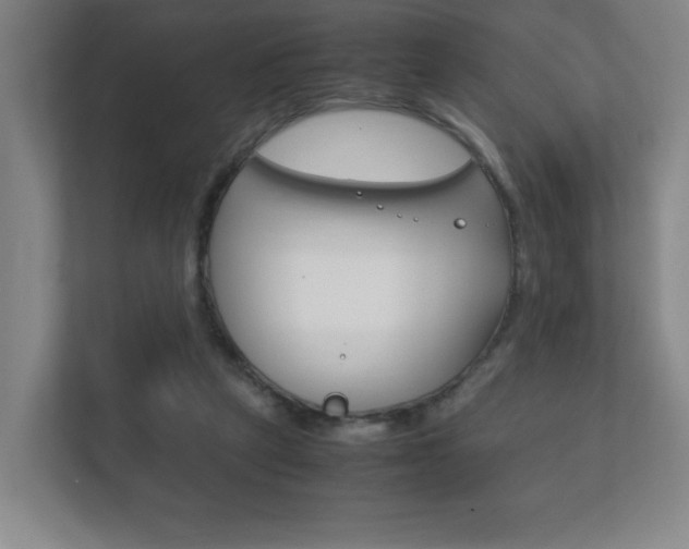 X0000111850257200907231105
