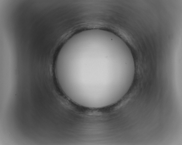 X0000111850258200907231105