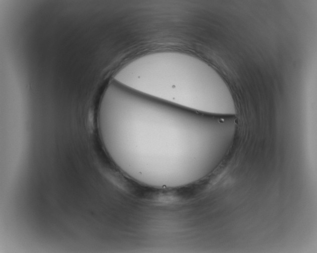 X0000111850262200907231105