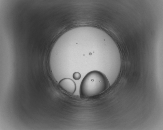 X0000111850264200907231105