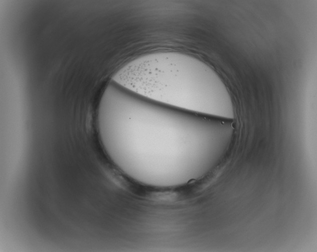 X0000111850266200907231105