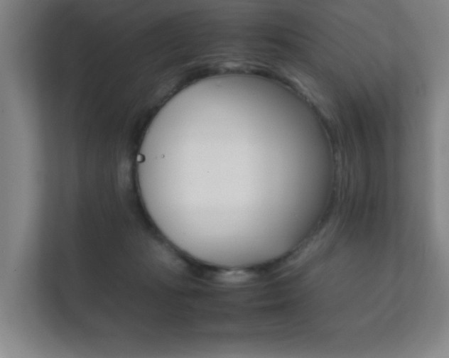 X0000111850269200907231105