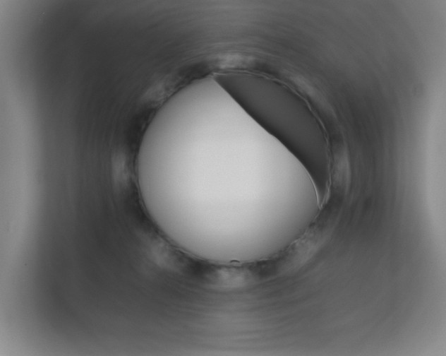 X0000111850272200907231106