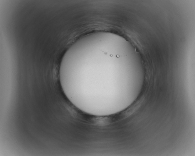 X0000111850273200907231106