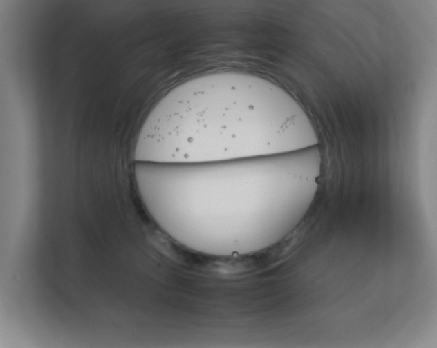 X0000111850275200907231106