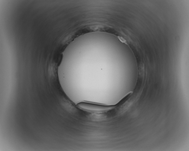X0000111850280200907231106