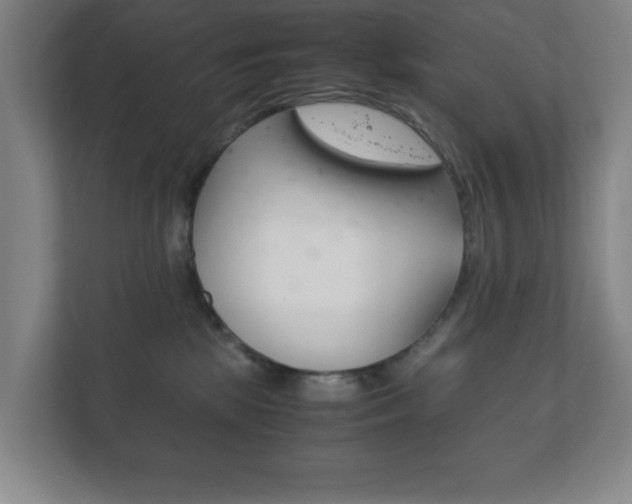 X0000111850281200907231106