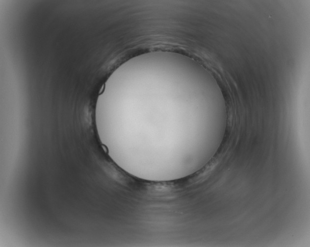 X0000111850282200907231106