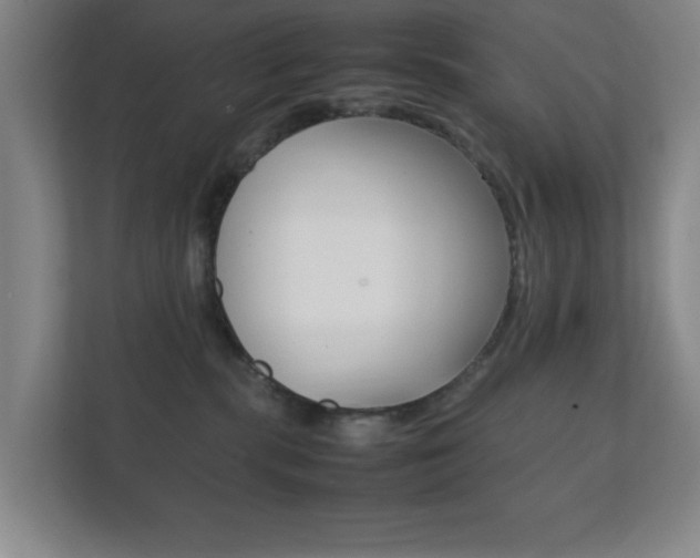 X0000111850283200907231106