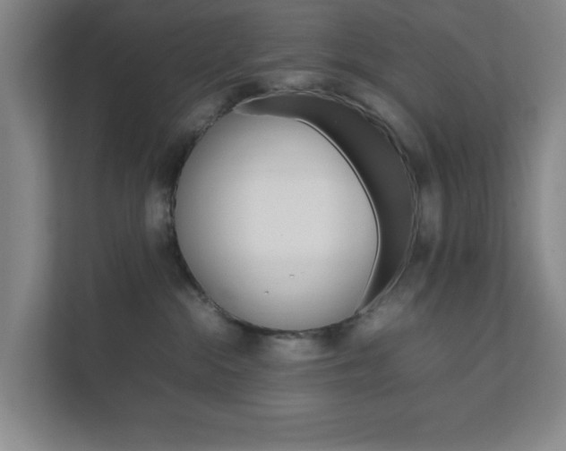 X0000111850284200907231106