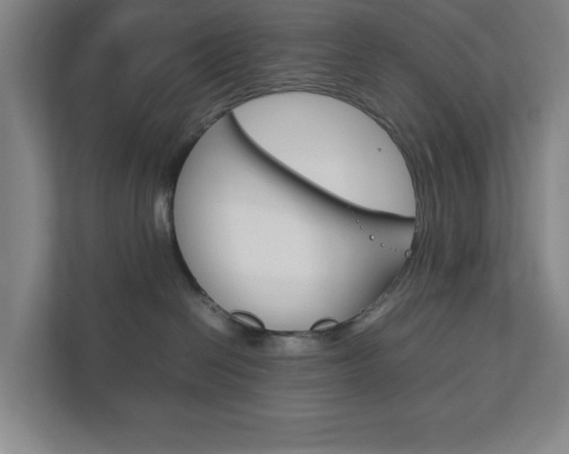 X0000111850286200907231106