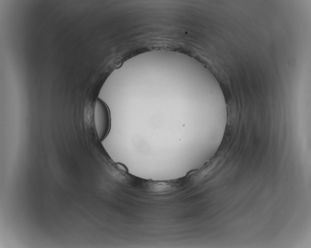 X0000111850287200907231106