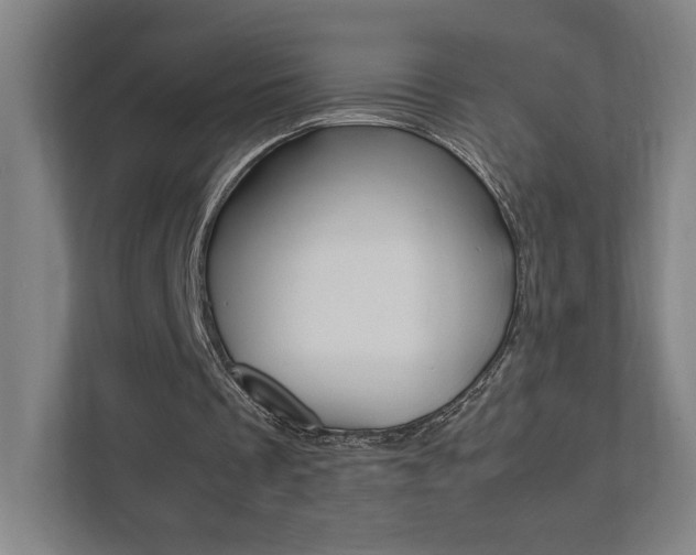 X0000111850289200907231105