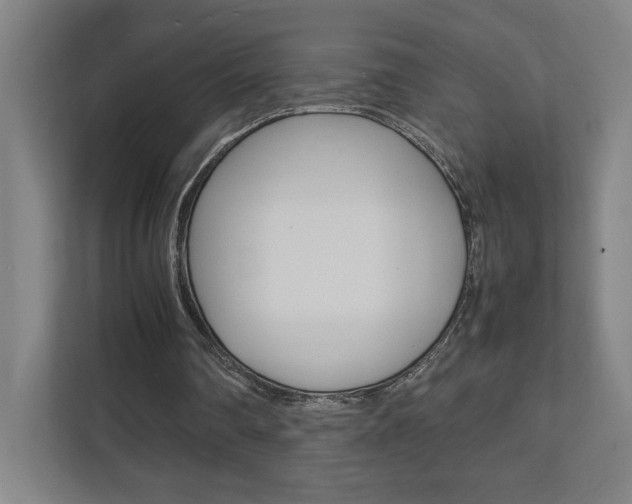 X0000111850290200907231105