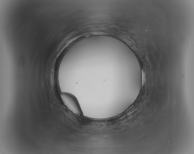 X0000111850291200907231105