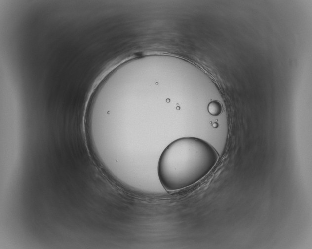 X0000111850292200907231105