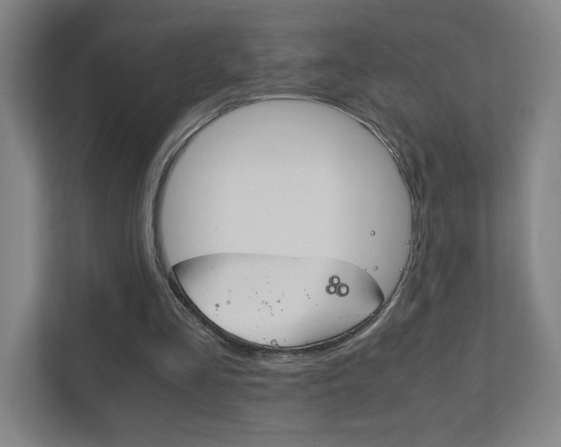 X0000111850293200907231105