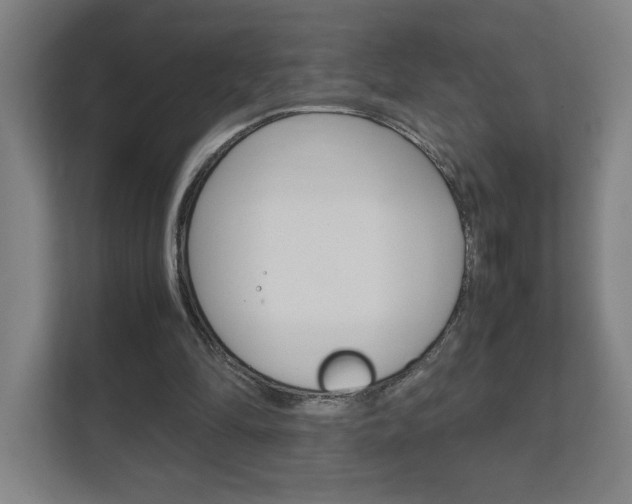 X0000111850294200907231105