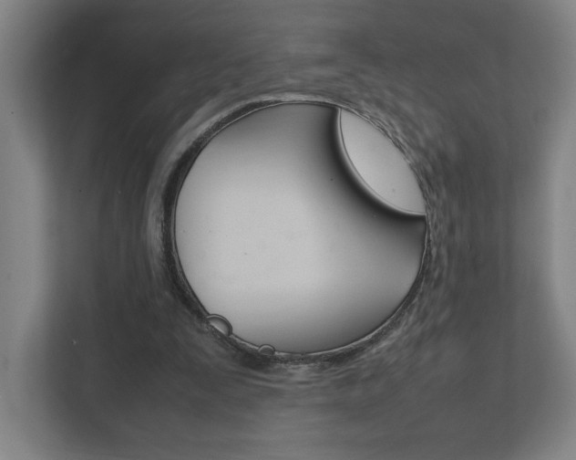 X0000111850295200907231105