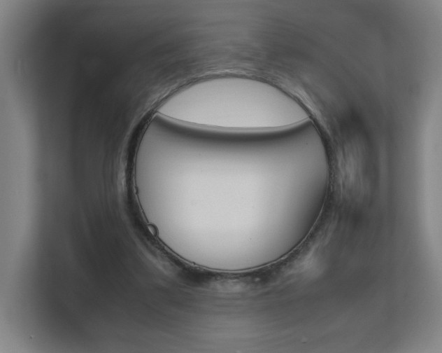 X0000111850299200907231105