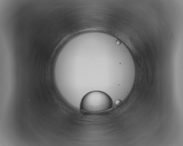 X0000111850300200907231105