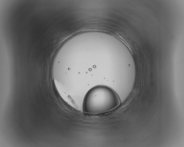 X0000111850301200907231105