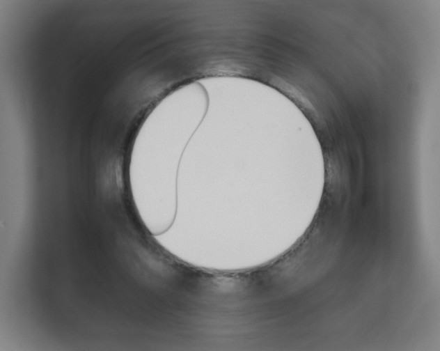 X0000111850302200907231105